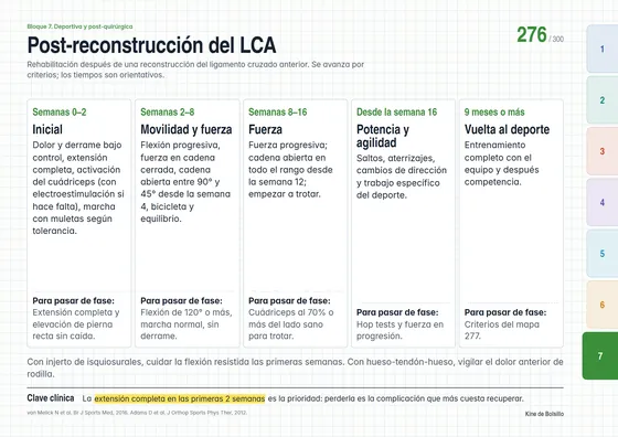Mapa 276: rehabilitación posreconstrucción del LCA